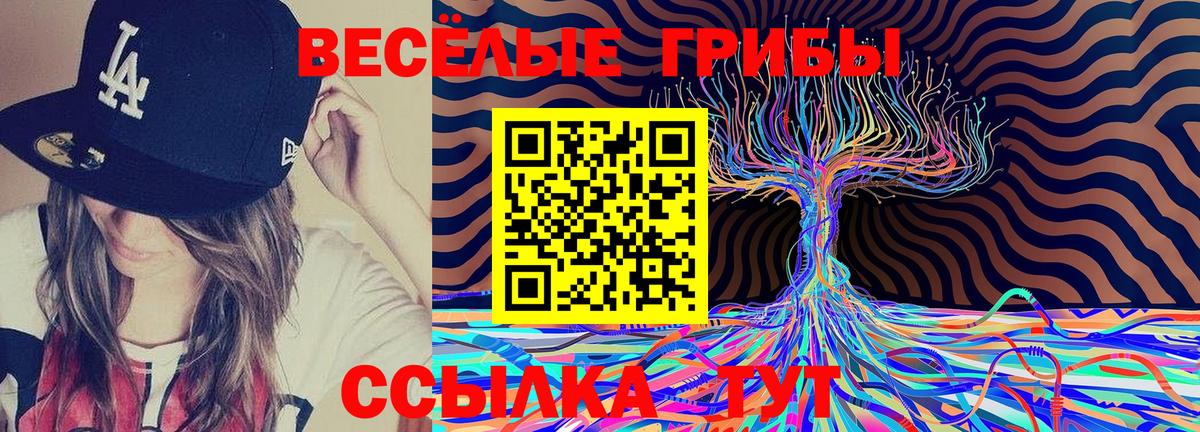 Галлюциногенные грибы GOLDEN TEACHER Горно-Алтайск